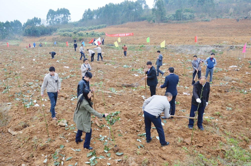 2016年3月欧亿网页开展植树活动